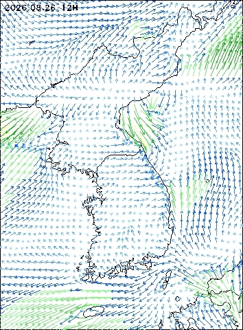 2026-08-26 12 : 00